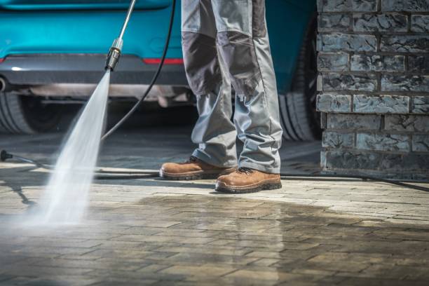 Best Winterizing Services  in Malone, FL