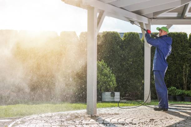 Best Gutter Cleaning  in Malone, FL