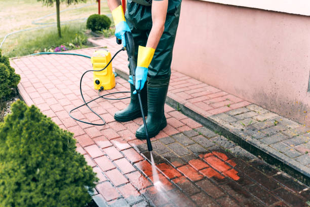 Best Playground Equipment Cleaning  in Malone, FL