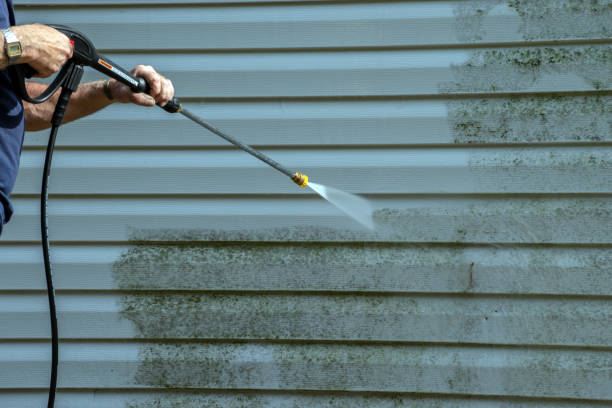 Best House Exterior Washing  in Malone, FL
